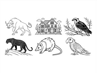 coloring page line art the animal and bird black vector bundle