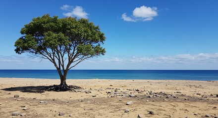Solitary Tree on a Sandy Beach with Ocean and Sky.