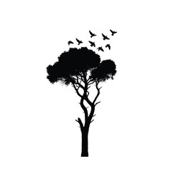 Silhouette of a majestic tree with birds taking flight