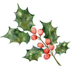 Fototapeta premium Watercolor mistletoe branch with green leaves and red berries, soft hand painted illustration for christmas decor and holiday floral art lovers. Winter botanical drawing.