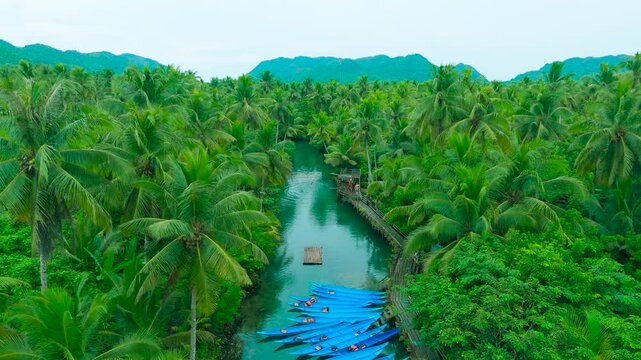 Aerial view of the Maasin River, flowing through a dense palm tree forest with a person swimming and blue boats docked, Siargao, Philippines.