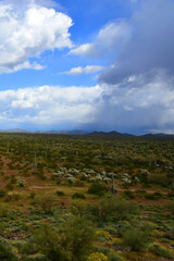 Sonoran Desert Arizona Picacho Peak State Park