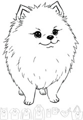 picture, clipart, drawing, illustration, dog, spitz