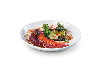 Octopus tentacles with fresh salad and radish slices