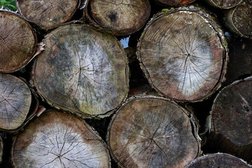 Background Of Cut Timber Logs Piled Together. The End Grain Shows Cracks And Age Rings Of The Trees.