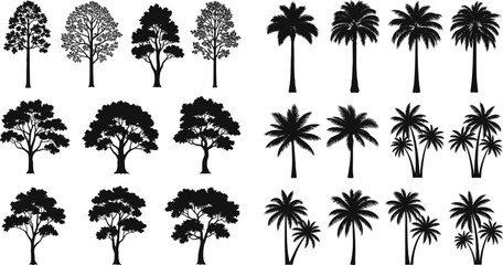 Extensive Vector Silhouette Set of Diverse Trees and Tropical Palm Varieties for Architectural Layouts, Landscape Design, and Nature Graphics
