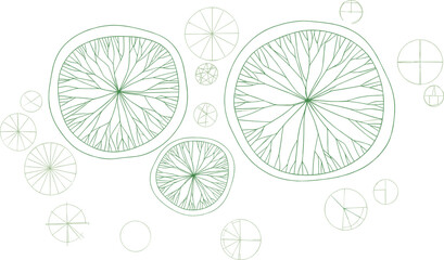 Abstract tree ring pattern, radial network, organic branching structure, fractal growth, green circular diagram, nature-inspired symmetry, vector illustration