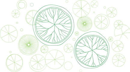 Abstract citrus fruit slice pattern, radial symmetry, botanical cross-section, organic texture, orange lemon lime design, nature-inspired geometry, vector illustration