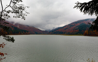 cold foggy morning on mountain lake