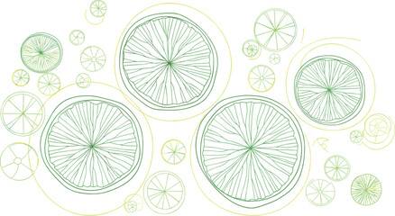 Stylized citrus fruit slices, lime lemon pattern, green yellow radial design, organic texture, botanical cross-section, vector illustration, symmetry