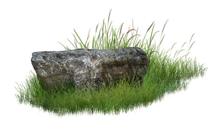 grass on a white background/A natural rock surrounded by tall green grass, creating a simple and peaceful outdoor scene. © Saharattaphum