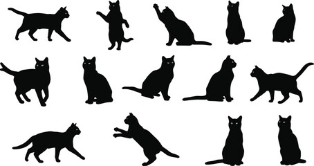 Black cat silhouettes in various poses, walking, sitting, jumping, crouching, standing, feline movement, animal vector illustration, design
