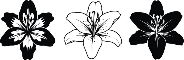 Lily flower illustration, black and white, line art, silhouette style, botanical drawing, floral design, vector artwork, decorative bloom