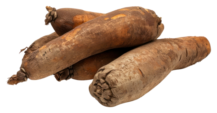 PNG African yam vegetable plant food.