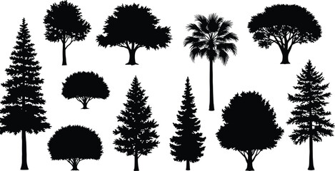 Tree silhouettes in various shapes, coniferous, deciduous, palm, botanical diversity, foliage outline, nature vector illustration, design © Hey this is Tazim