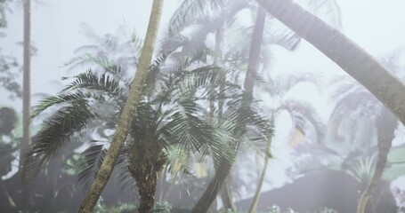 Dense palm trees and tropical vegetation rise from the ground, enveloped in a gentle mist. The atmosphere suggests a serene and peaceful early morning setting. - Powered by Adobe