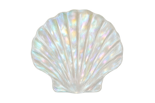 Iridescent scallop shell with mother of pearl luster showing radial ridges on transparent background