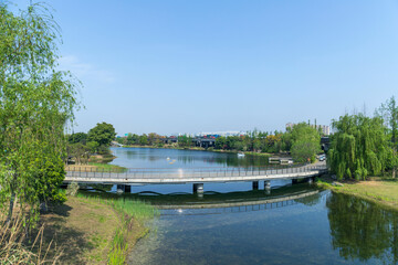 The ecological greenery and lake scenery of Chengdu Jincheng Lake Park
