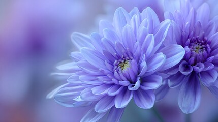 Fototapeta premium Soft lavender-blue with subtle frosted sweeping arcs near the corners