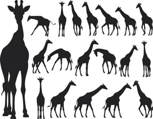 A clean vector illustration featuring a collection of sixteen giraffe silhouettes in diverse poses