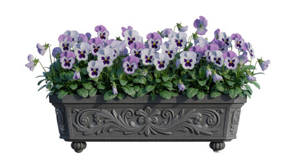 A beautiful planter box filled with vibrant purple and white pansies, featuring ornate dark grey scrollwork design on a transparent background. background removed