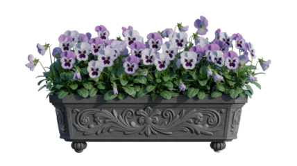 A beautiful planter box filled with vibrant purple and white pansies, featuring ornate dark grey scrollwork design on a transparent background. background removed