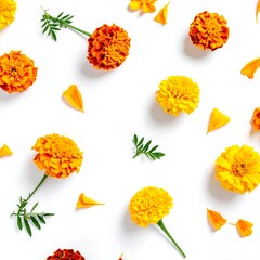 Close-up of marigolds and petals scattered on a pristine white backdrop