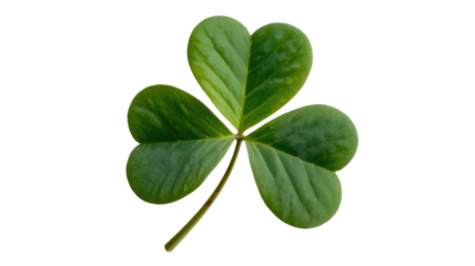 A vibrant green three-leaf clover, often called a shamrock, stands out, symbolizing luck, nature, and Irish heritage. background removed
