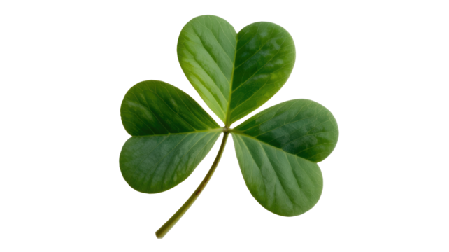 A vibrant green three-leaf clover, often called a shamrock, stands out, symbolizing luck, nature, and Irish heritage. background removed - Powered by Adobe
