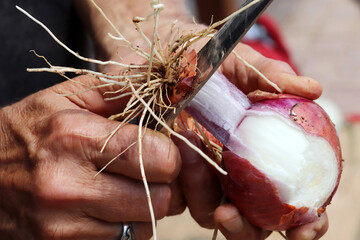 a man peeling red onions