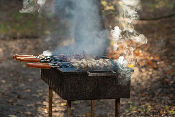 Meat shashlik and mushrooms on skewers are fried in the grill