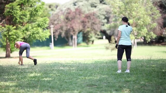 Two women playing with a flying disc in the park