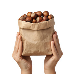 Human Hands Holding Paper Bag with Hazelnuts on Transparent Background