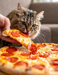 A curious cat reaches for a slice of pepperoni pizza held out by a person's hand, close-up with focus on both