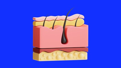 3D Human Skin Anatomical Medical Healthcare Background - 1