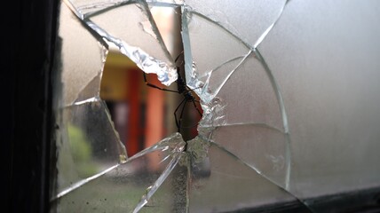 Spider in a broken glass hole