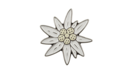 A classic Edelweiss flower illustration, featuring white petals with dark outlines and yellowish centers. A timeless symbol of the Alps. background removed
