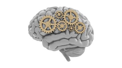A 3D rendering of a human brain featuring golden gears, symbolizing thought processes, intelligence, and complex mental mechanisms at work. background removed