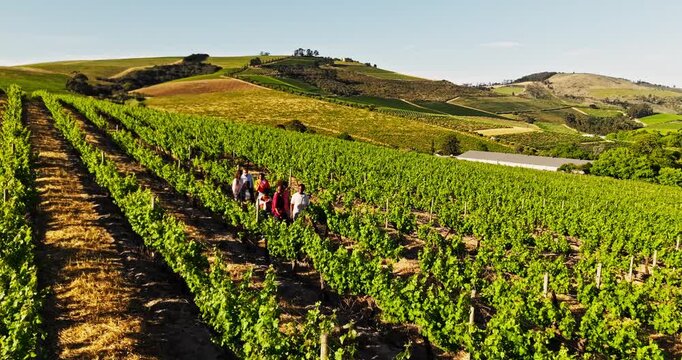 People, group tour and walk at wine farm with guide, sustainability and talk with drone in summer. Men, women and aerial view for discussion, vineyard and eco friendly agriculture in countryside