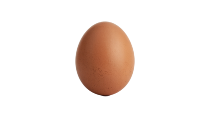 A single, fresh brown chicken egg stands vertically, showcasing its natural texture against a clean, plain transparent background. background removed