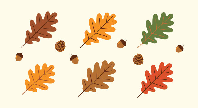 A beautiful seamless autumn pattern background with colorful oak leaves acorns and pinecones scattered on the ground.