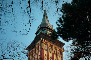 Close-up of Subotica, Serbia, city hall tower and clock against a clear blue sky, framed by bare tree branches.