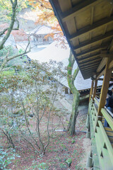 雷山千如寺 大悲王院の紅葉