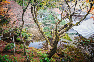 雷山千如寺 大悲王院の紅葉
