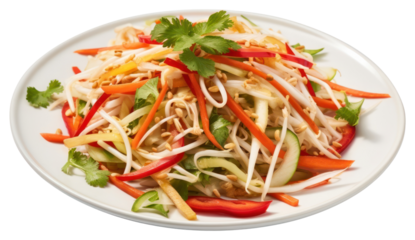 PNG Som Tam cilantro produce noodle.