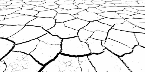 High-contrast cracked earth texture with bold black fracture lines on a clean white background, ideal for abstract backgrounds, design overlays, and minimalist graphic projects. Perfect for stock use.