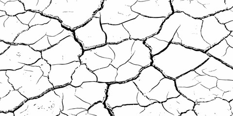 High-contrast cracked earth texture with bold black fracture lines on a clean white background, ideal for abstract backgrounds, design overlays, and minimalist graphic projects. Perfect for stock use.