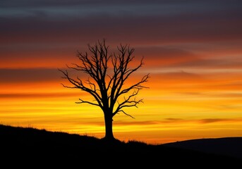 Obraz premium Dramatic black silhouette of a large, lone dead tree standing on a ridge against a vibrant orange and yellow sunset sky ,landscape ,branch ,isolation