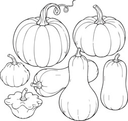 Collection of hand drawn pumpkin and gourd varieties silhouette isolated on transparent background