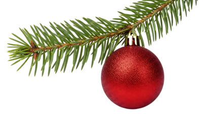 Red Christmas Bauble on a Fir Tree Branch ornament